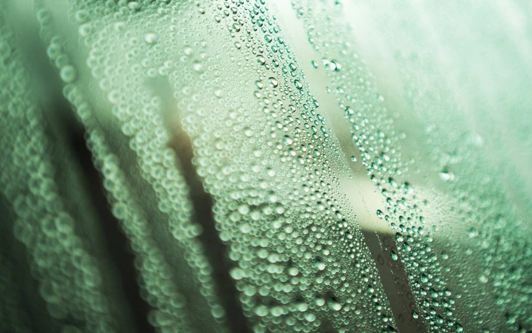 RV Moisture Control: How to Keep Your Camper Dry & Comfortable