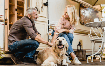 Happy Trails: A Guide to RVing with a Pet